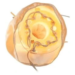 Kurt S. Adler Christmas Tree Topper (00082) 13 Kurt S. Adler Christmas Tree Topper (00082) -Light Bulbs Shop 000826md