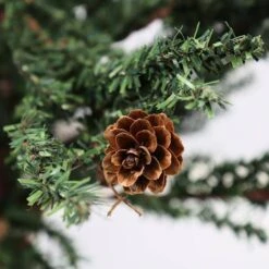 Vickerman Unlit Artificial Christmas Tree With Pine Cones (02303) 7 Vickerman Unlit Artificial Christmas Tree With Pine Cones (02303) -Light Bulbs Shop 02303pinecone1md