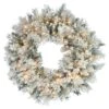 Vickerman Pre-Lit Artificial Christmas Wreath (12008)
