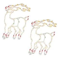 Vickerman Christmas Decoration (2 Pack) (21538)