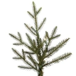 Vickerman Pre-Lit Artificial Christmas Tree (includes Step On/Off Foot Switch) (21569) -Light Bulbs Shop 21569Miscmd