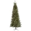 Vickerman Pre-Lit Artificial Christmas Tree (includes Step On/Off Foot Switch) (21894)