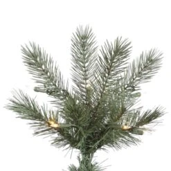 Vickerman Pre-Lit Artificial Christmas Tree (includes Step On/Off Foot Switch) (21904) -Light Bulbs Shop 21904Miscmd