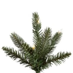 Vickerman Pre-Lit Artificial Christmas Tree (includes Step On/Off Foot Switch) (22022) 5 Vickerman Pre-Lit Artificial Christmas Tree (includes Step On/Off Foot Switch) (22022) -Light Bulbs Shop 22022Miscmd