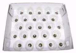 Sival Christmas Light String Set (40252) -Light Bulbs Shop 40252Stringmd
