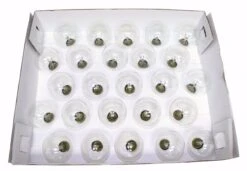 Sival Christmas Light String Set (40254) -Light Bulbs Shop 40254Stringmd