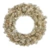 Vickerman Prelit Artificial Christmas Wreath (429099)