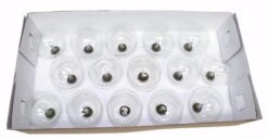 Sival Christmas Light String Set (50253) -Light Bulbs Shop 50253Stringmd