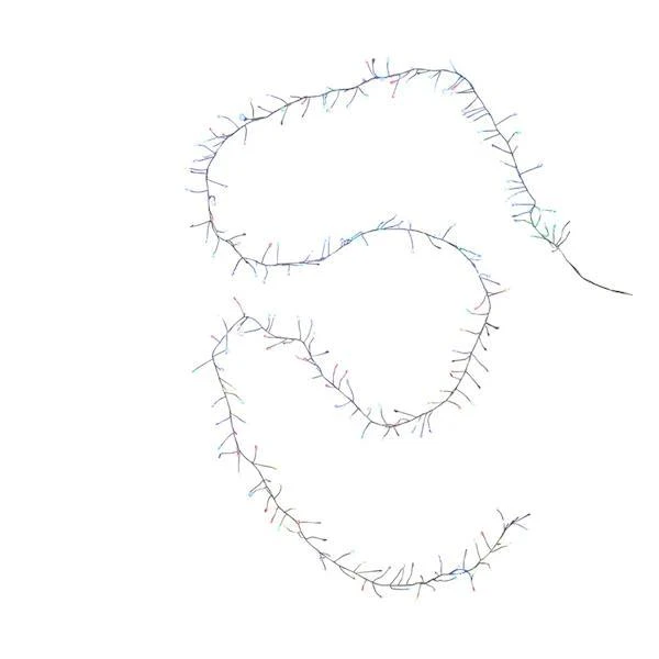 Kurt S. Adler LED Light String Set (51194) 3 Kurt S. Adler LED Light String Set (51194) - Image 3