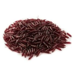 Vickerman Incandescent Mini Replacement Bulbs (500 Pack) (646687) 5 Vickerman Incandescent Mini Replacement Bulbs (500 Pack) (646687) -Light Bulbs Shop 646502pilemd 3