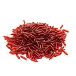 Vickerman Incandescent Mini Replacement Bulbs (50 Pack) (646632) 5 Vickerman Incandescent Mini Replacement Bulbs (50 Pack) (646632) -Light Bulbs Shop 646540pileamd