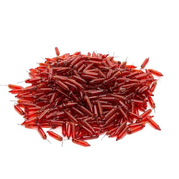 Vickerman Incandescent Mini Replacement Bulbs (50 Pack) (646632) 3 Vickerman Incandescent Mini Replacement Bulbs (50 Pack) (646632) - Image 3