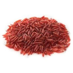 Vickerman Incandescent Mini Replacement Bulbs (500 Pack) (646540) 5 Vickerman Incandescent Mini Replacement Bulbs (500 Pack) (646540) -Light Bulbs Shop 646540pilemd