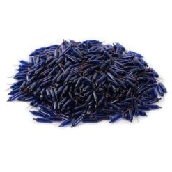 Vickerman Incandescent Mini Replacement Bulbs (500 Pack) (646496) 5 Vickerman Incandescent Mini Replacement Bulbs (500 Pack) (646496) -Light Bulbs Shop 646670pilemd