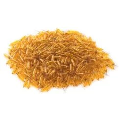 Vickerman Incandescent Mini Replacement Bulbs (500 Pack) (646533) 5 Vickerman Incandescent Mini Replacement Bulbs (500 Pack) (646533) -Light Bulbs Shop 646717pilemd 2