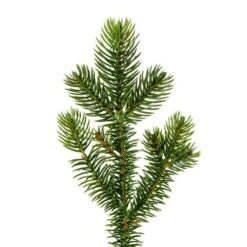 Vickerman Unlit Christmas Tree (675649) 6 Vickerman Unlit Christmas Tree (675649) -Light Bulbs Shop 675649addmd