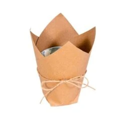 Vickerman Unlit Christmas Tree (675649) 7 Vickerman Unlit Christmas Tree (675649) -Light Bulbs Shop 675649potmd