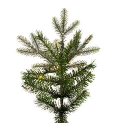 Vickerman Pre-Lit Artificial Christmas Tree (691977) -Light Bulbs Shop 691977branchmd