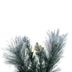 Vickerman Prelit Artificial Christmas Wreath (720998) 6 Vickerman Prelit Artificial Christmas Wreath (720998) -Light Bulbs Shop 720998branchmd