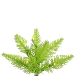 Vickerman Pre-Lit Christmas Tree (Includes On/Off Foot Switch) (28252) -Light Bulbs Shop Lime20Fir20Branchmd