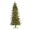 Vickerman Pre-Lit Artificial Christmas Tree (Includes On/Off Foot Switch) (29528)